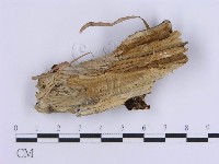 登錄號:F0017877藏品圖，第4張