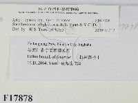 登錄號:F0017878藏品圖，第2張