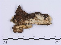 登錄號:F0017878藏品圖，第4張