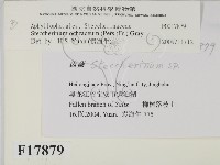 登錄號:F0017879藏品圖，第2張