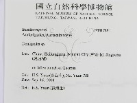 登錄號:F0017881藏品圖，第3張