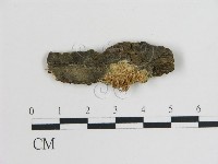 登錄號:F0017881藏品圖，第4張