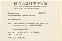 登錄號:F0017881藏品圖，第5張