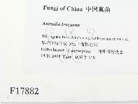 登錄號:F0017882藏品圖，第2張