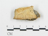 登錄號:F0017882藏品圖，第1張