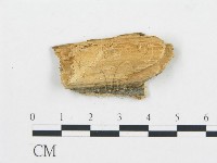 登錄號:F0017882藏品圖，第4張
