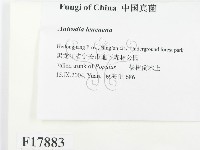 登錄號:F0017883藏品圖，第2張