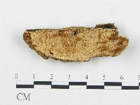 登錄號:F0017883藏品圖，第1張