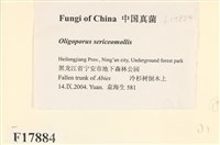 登錄號:F0017884藏品圖，第2張