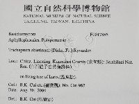 登錄號:F0017885藏品圖，第2張