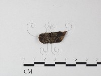 登錄號:F0017888藏品圖，第3張