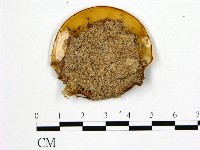 登錄號:F0017888藏品圖，第4張
