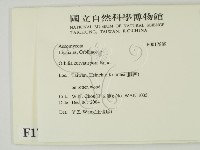 登錄號:F0017889藏品圖，第2張