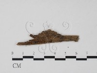 登錄號:F0017889藏品圖，第1張