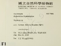 登錄號:F0017890藏品圖，第2張