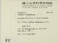 登錄號:F0017891藏品圖，第2張