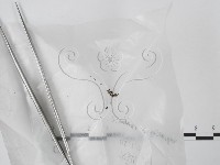 登錄號:F0017891藏品圖，第1張