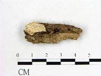 登錄號:F0017892藏品圖，第1張