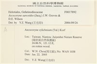 登錄號:F0017892藏品圖，第3張