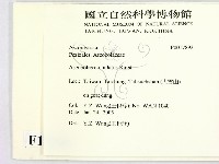 登錄號:F0017893藏品圖，第2張