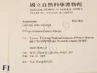 登錄號:F0017894藏品圖，第2張