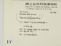 登錄號:F0017896藏品圖，第2張