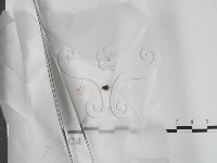 登錄號:F0017897藏品圖，第1張