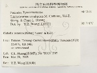 登錄號:F0017898藏品圖，第2張