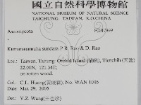 登錄號:F0017899藏品圖，第2張