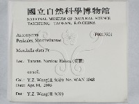 登錄號:F0017901藏品圖，第2張