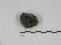 登錄號:F0017901藏品圖，第1張