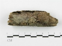 登錄號:F0017902藏品圖，第1張
