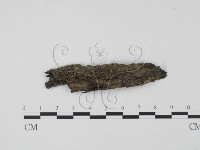 登錄號:F0017903藏品圖，第3張