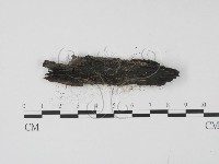 登錄號:F0017903藏品圖，第4張