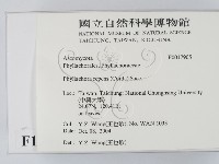 登錄號:F0017905藏品圖，第2張