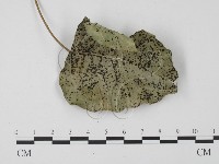 登錄號:F0017905藏品圖，第4張