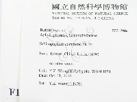 裂褶菌藏品圖，第2張