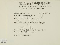 登錄號:F0017908藏品圖，第2張