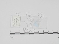 登錄號:F0017909藏品圖，第1張