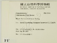 登錄號:F0017910藏品圖，第2張