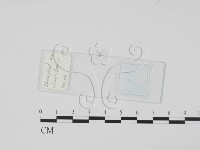 登錄號:F0017912藏品圖，第1張