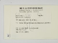 登錄號:F0017913藏品圖，第2張