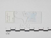 登錄號:F0017913藏品圖，第1張