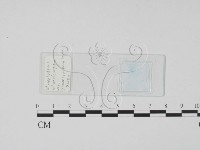 登錄號:F0017914藏品圖，第1張