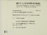 登錄號:F0017915藏品圖，第2張