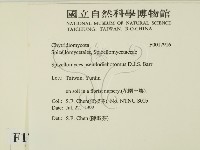 登錄號:F0017916藏品圖，第2張