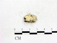 登錄號:F0017917藏品圖，第3張