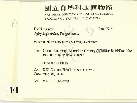 登錄號:F0017918藏品圖，第2張