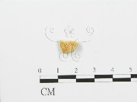 登錄號:F0017919藏品圖，第3張