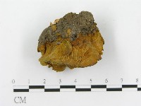 登錄號:F0017923藏品圖，第4張